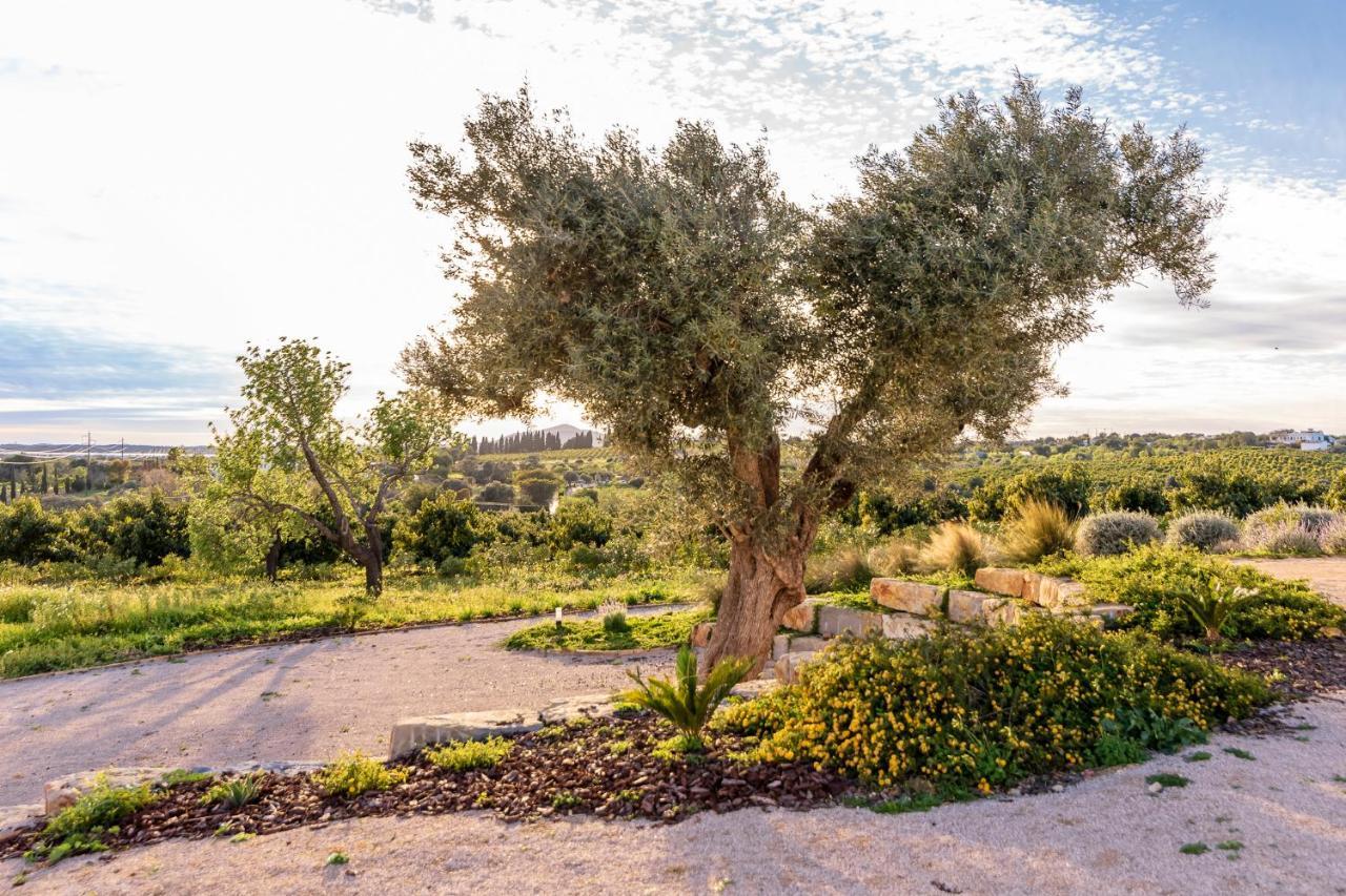 Quinta Da Baleeira Villa Tavira Ngoại thất bức ảnh